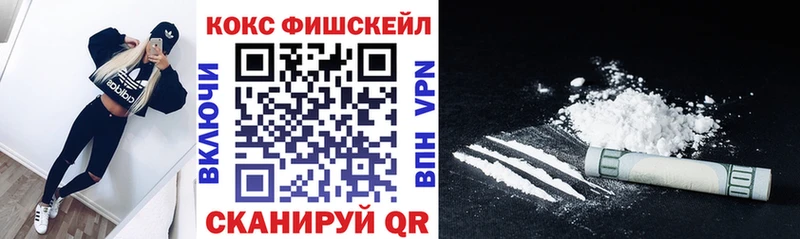 КОКАИН Fish Scale  Купить закладки  Полярные Зори 