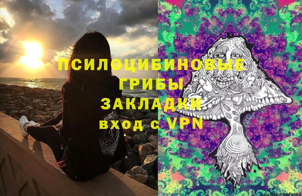 винт Аркадак