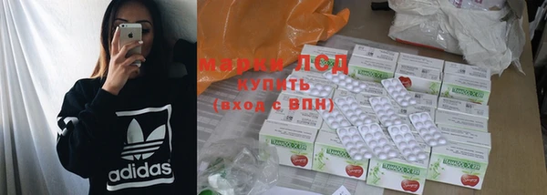 винт Аркадак