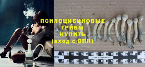 винт Аркадак