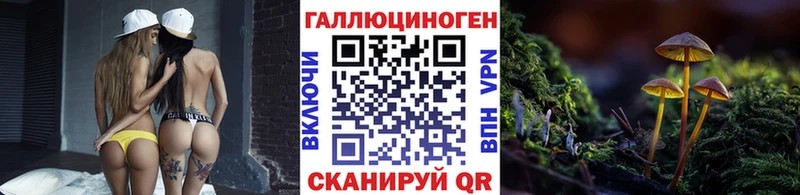 Купить  Полярные Зори  Псилоцибиновые грибы Psilocybine cubensis 